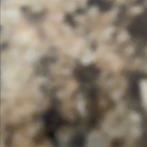 Meet your Posher, Bob